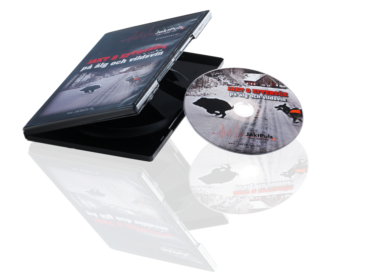 521027_1_2_DVDbox_15